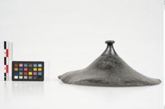 Foto von Bronzephalere (NHMW-PRAE-026056)